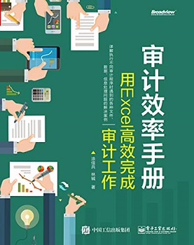 审计效率手册：用Excel高效完成审计工作