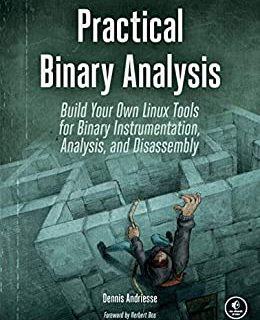 Practical Binary Analysis